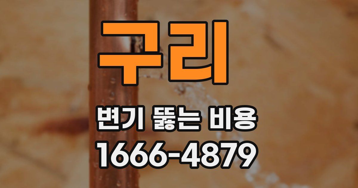 구리 변기 뚫는 비용
