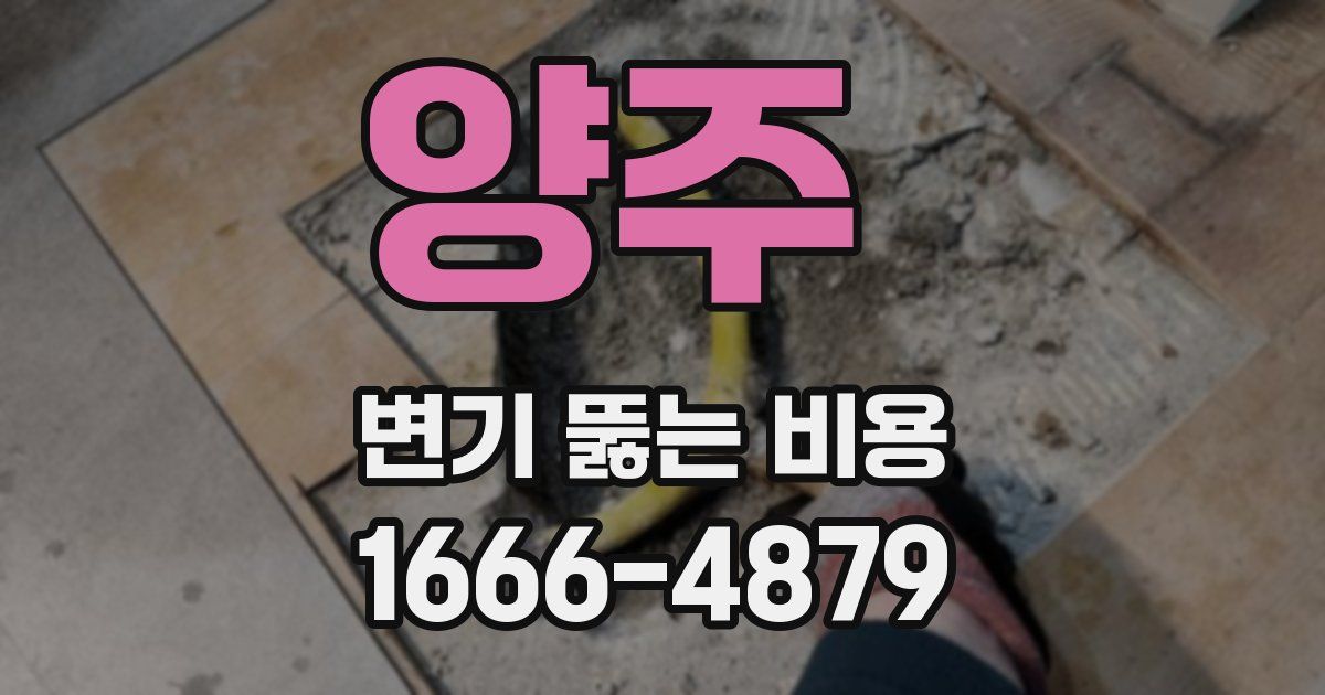 양주 변기 뚫는 비용