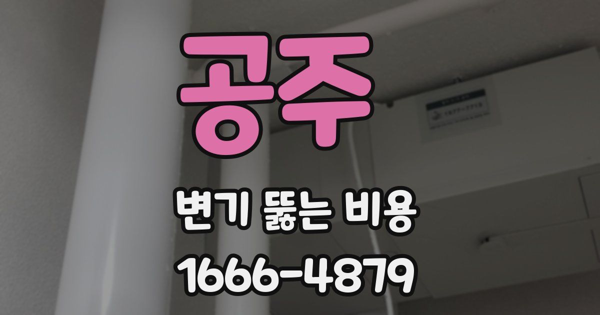 공주 변기 뚫는 비용