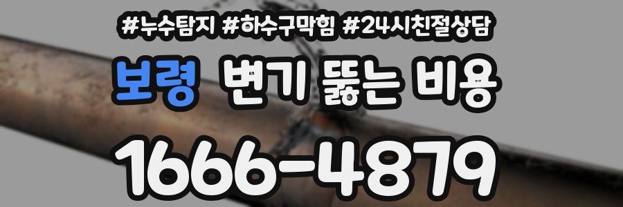 보령 변기 뚫는 비용