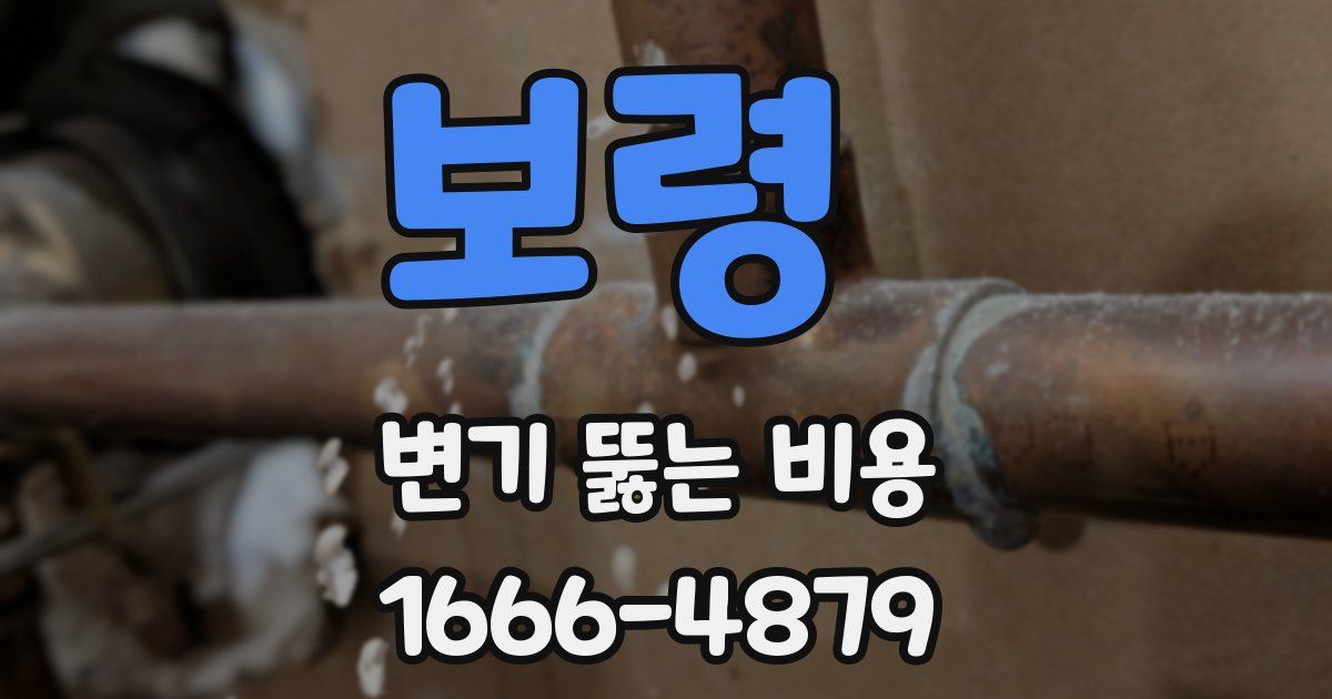 보령 변기 뚫는 비용
