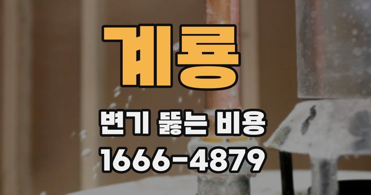 계룡 변기 뚫는 비용
