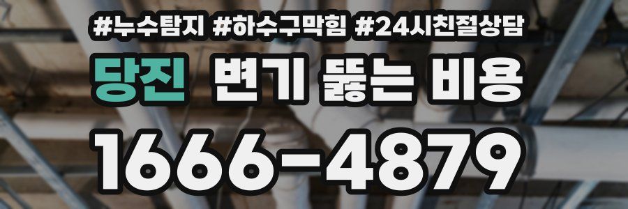 당진 변기 뚫는 비용