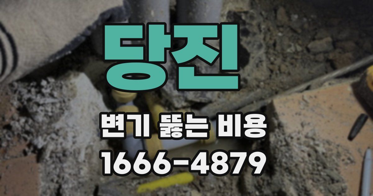 당진 변기 뚫는 비용