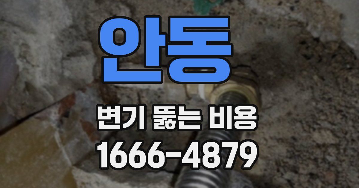 안동 변기 뚫는 비용