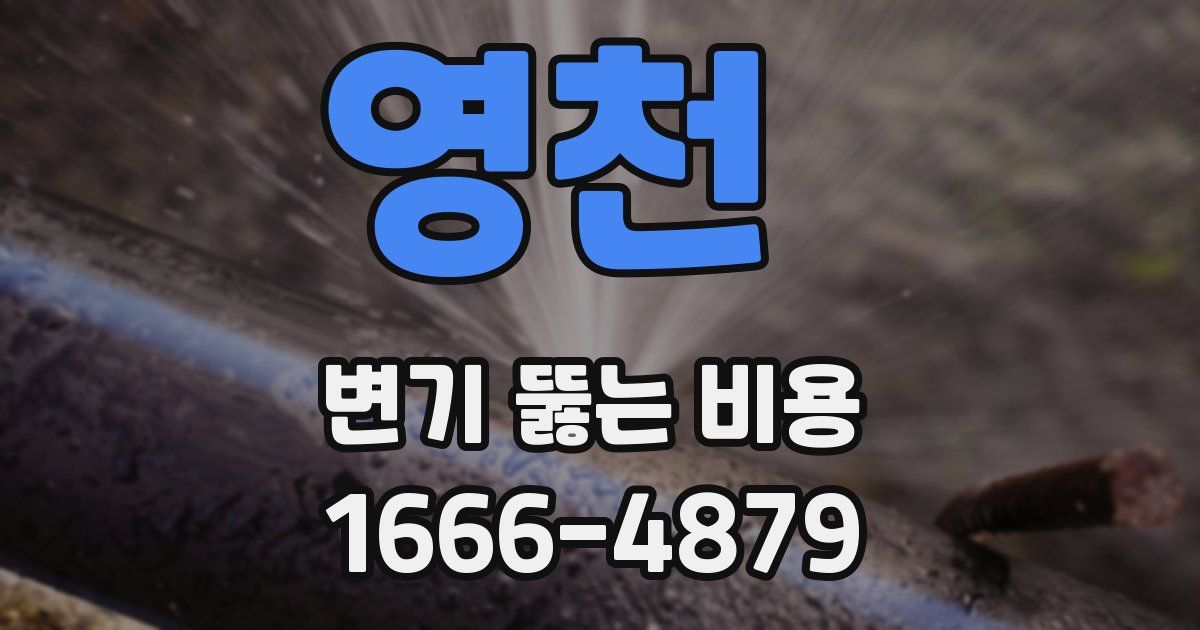 영천 변기 뚫는 비용