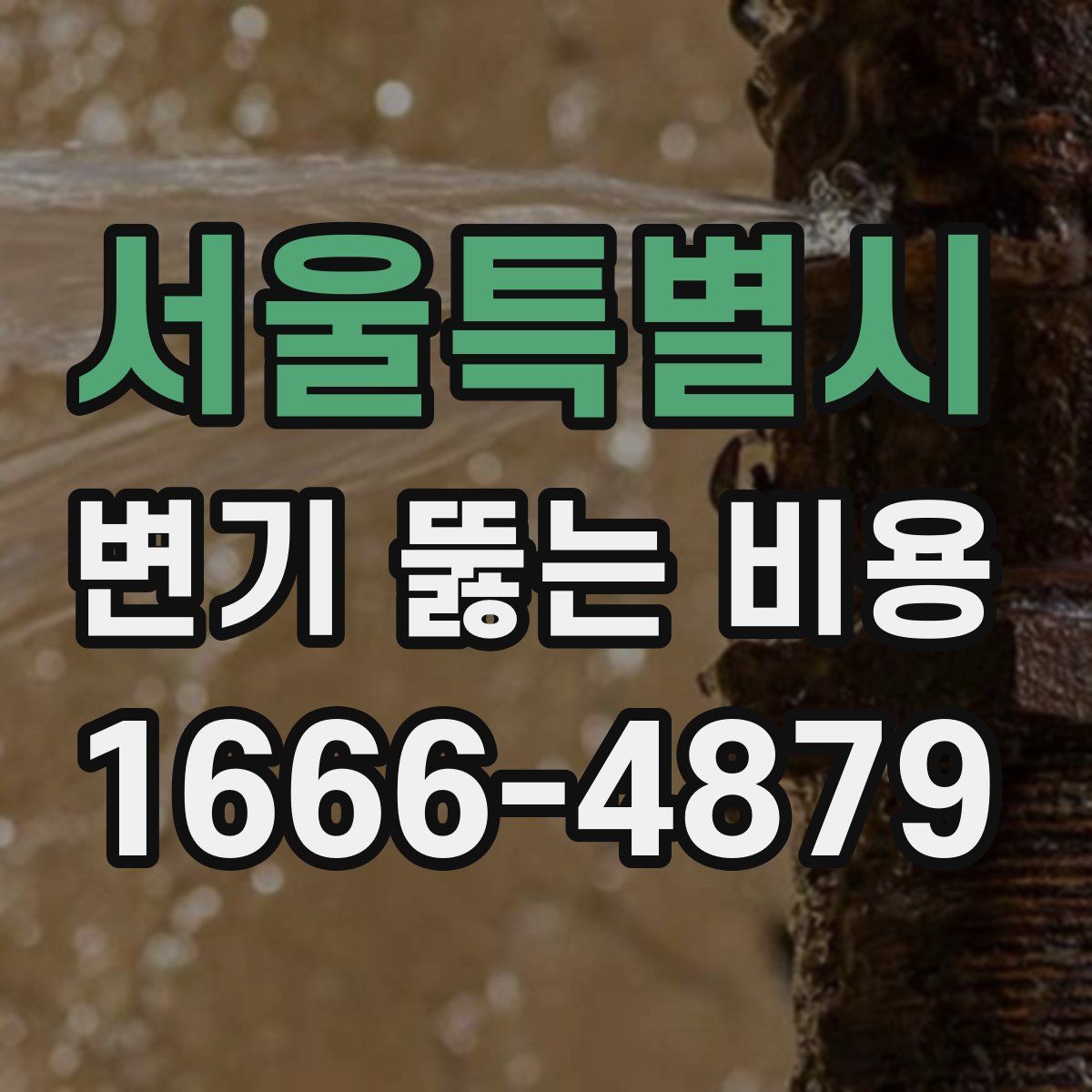 서울특별시 변기 뚫는 비용