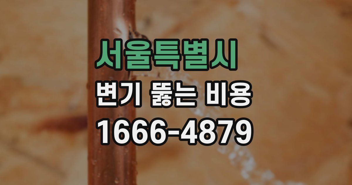 서울특별시 변기 뚫는 비용