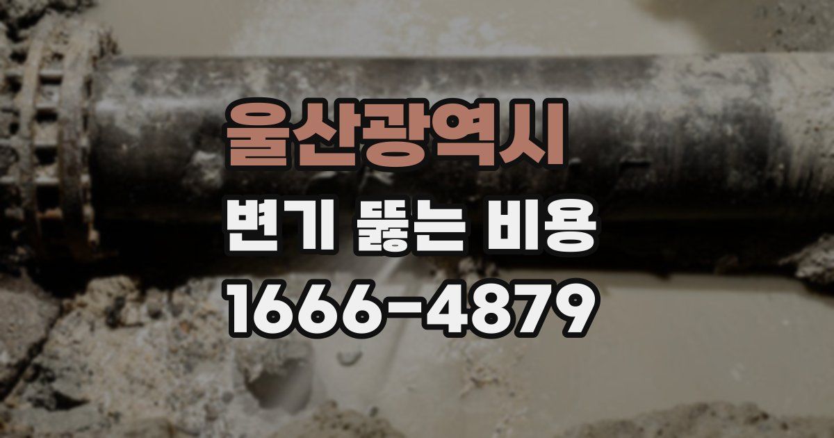 울산광역시 변기 뚫는 비용