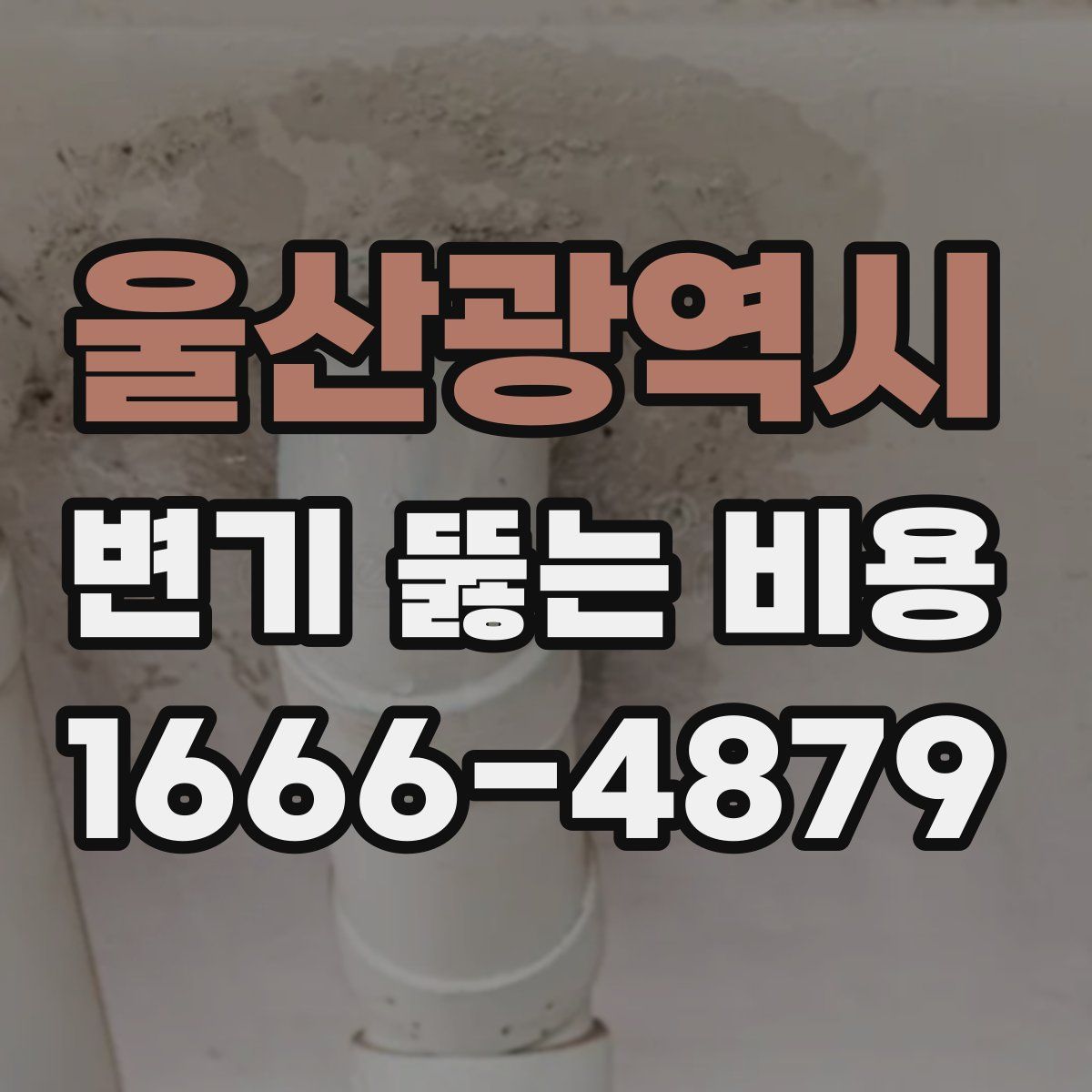 울산광역시 변기 뚫는 비용