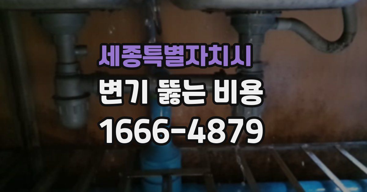 세종특별자치시 변기 뚫는 비용