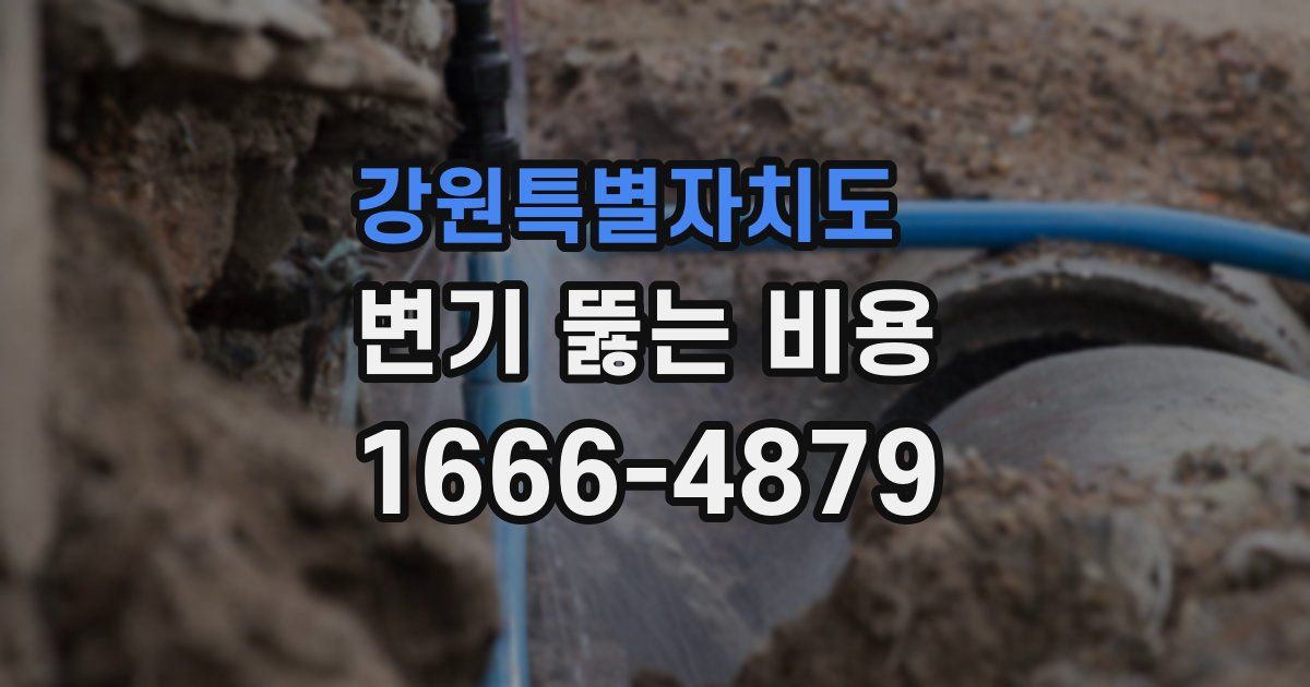 강원특별자치도 변기 뚫는 비용
