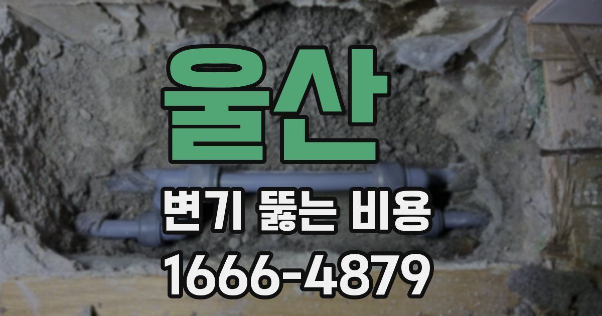 울산 변기 뚫는 비용