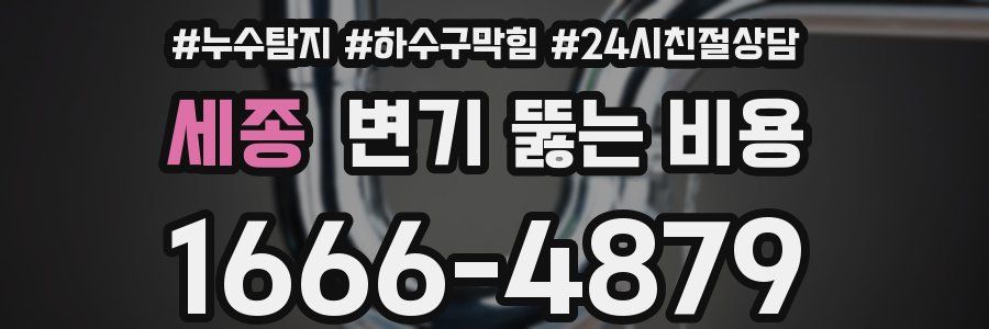 세종 변기 뚫는 비용