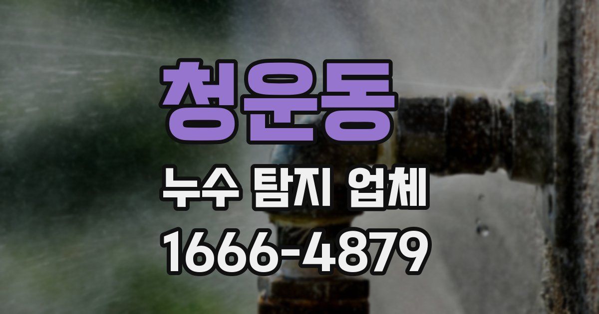 청운동 누수 탐지 업체