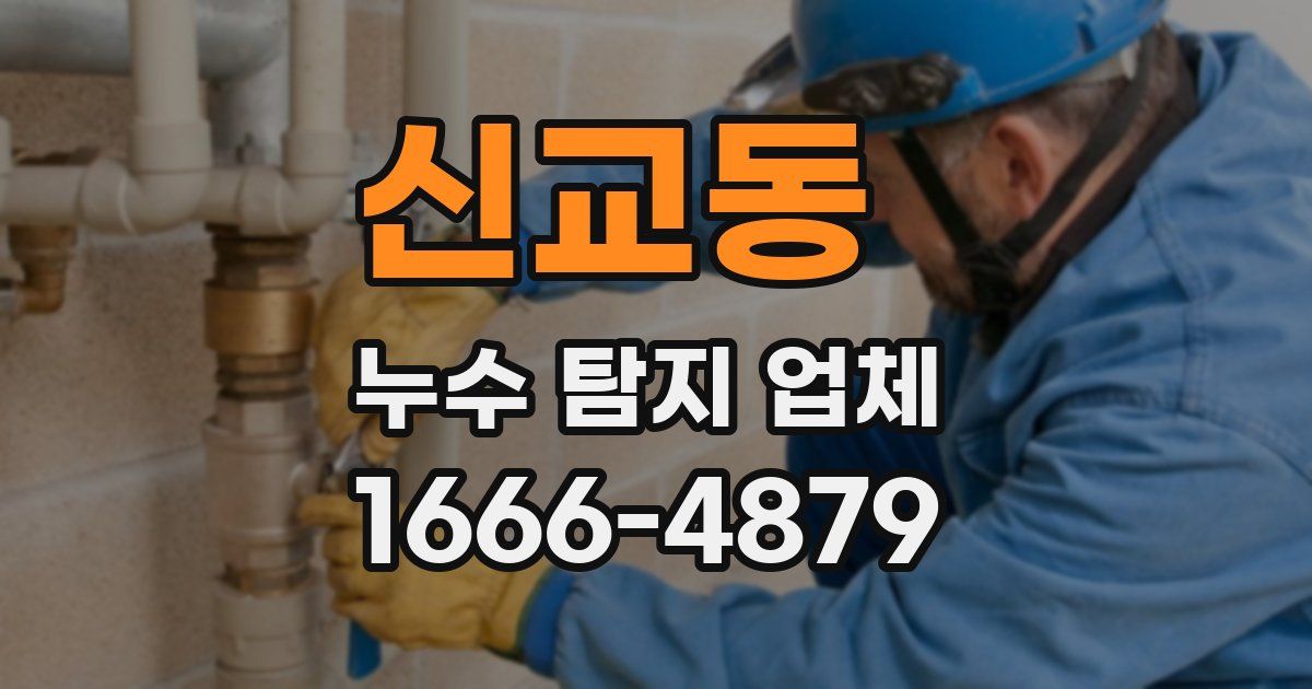 신교동 누수 탐지 업체