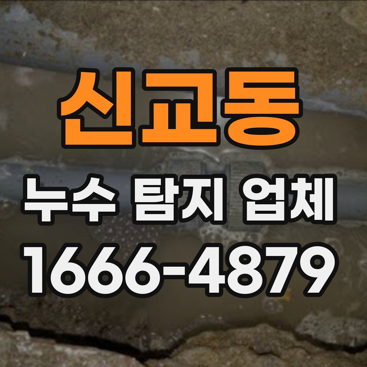 신교동 누수 탐지 업체