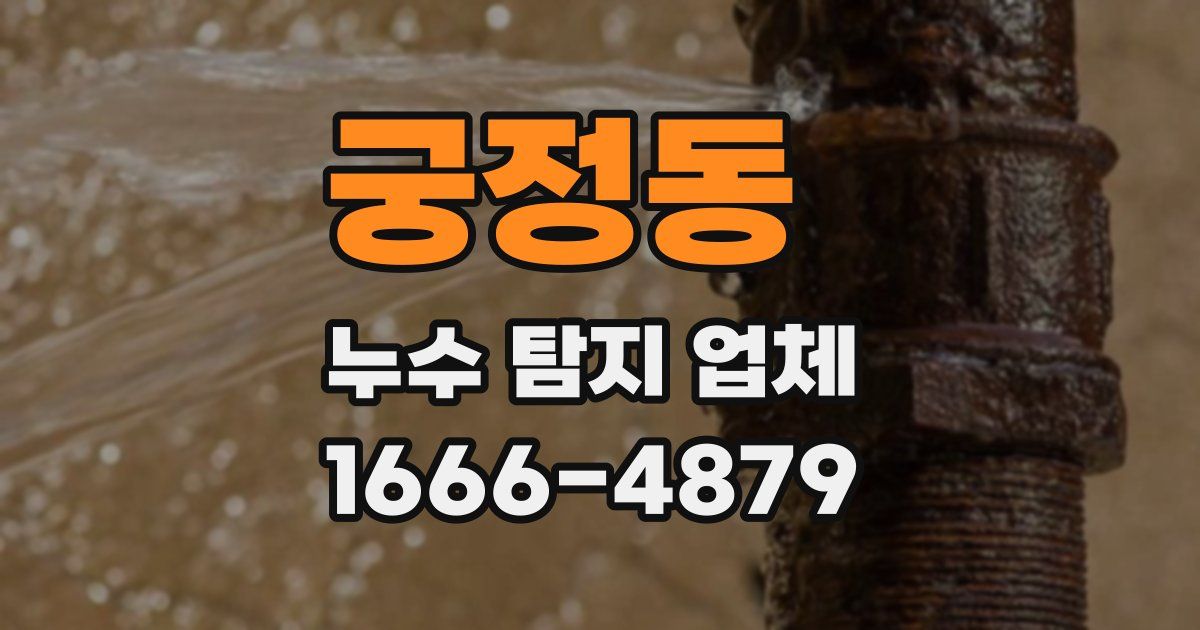 궁정동 누수 탐지 업체