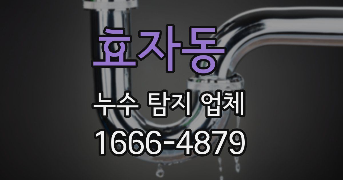 효자동 누수 탐지 업체