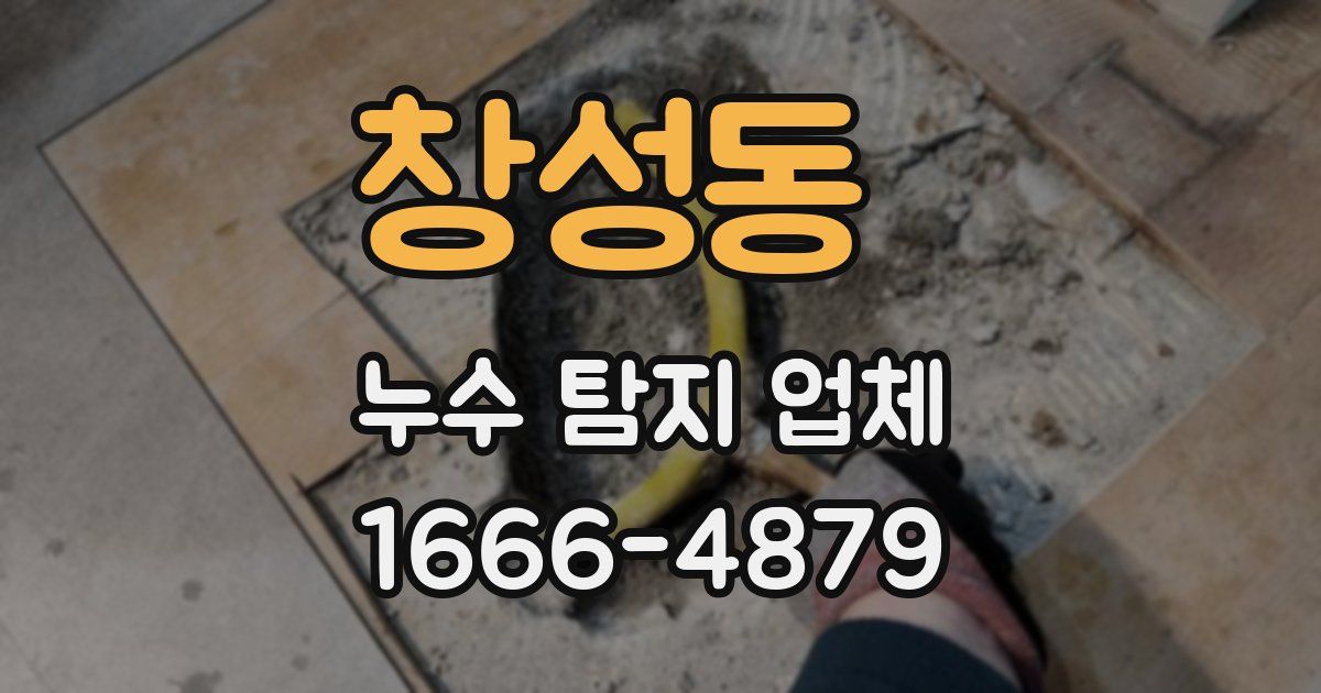 창성동 누수 탐지 업체