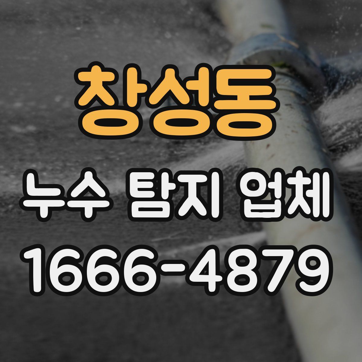 창성동 누수 탐지 업체