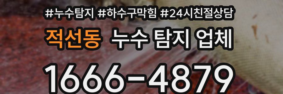 적선동 누수 탐지 업체