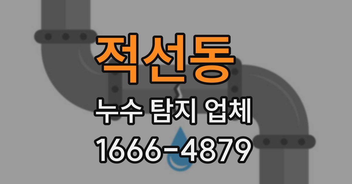 적선동 누수 탐지 업체