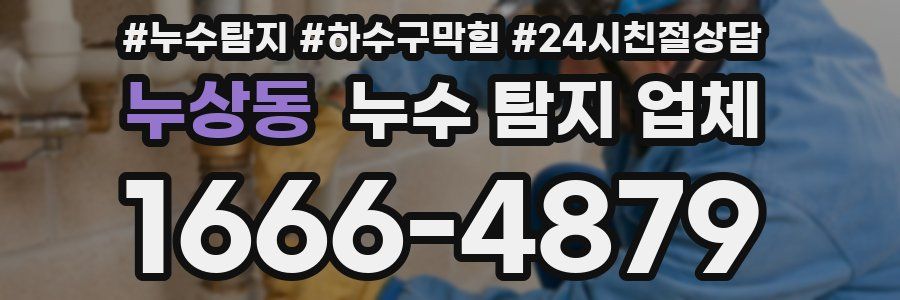누상동 누수 탐지 업체