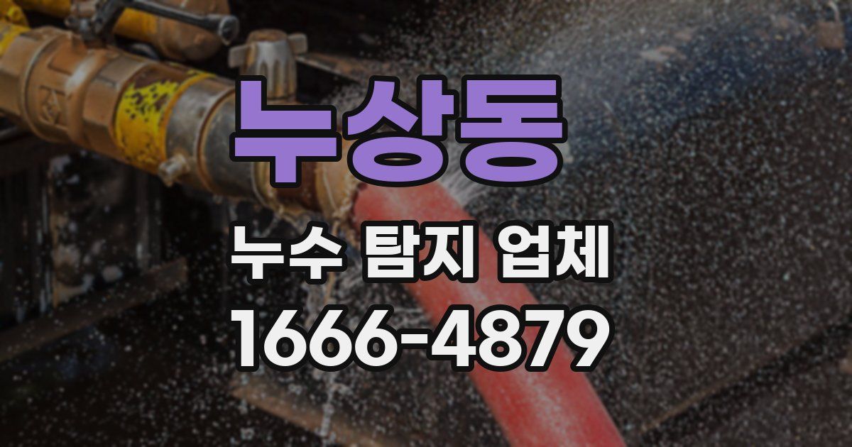 누상동 누수 탐지 업체