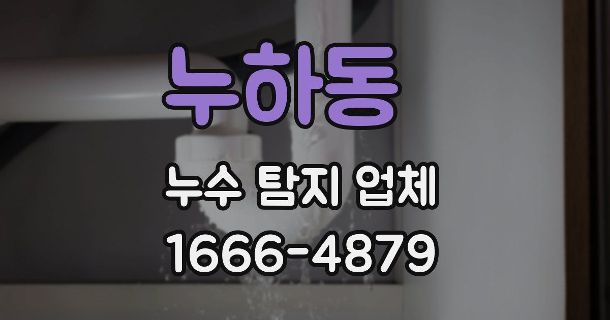누하동 누수 탐지 업체