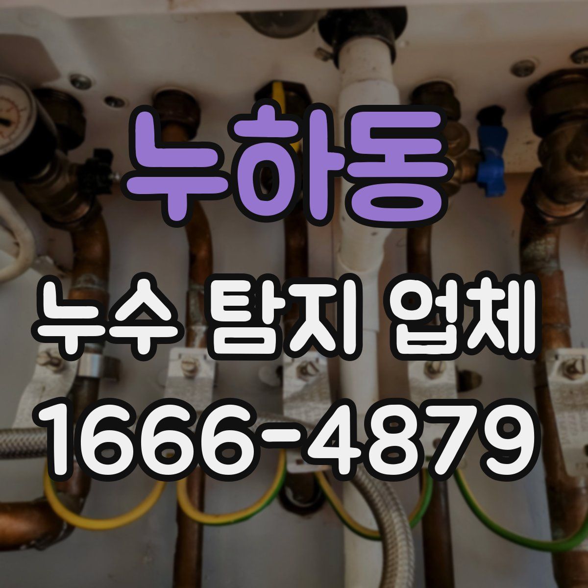 누하동 누수 탐지 업체