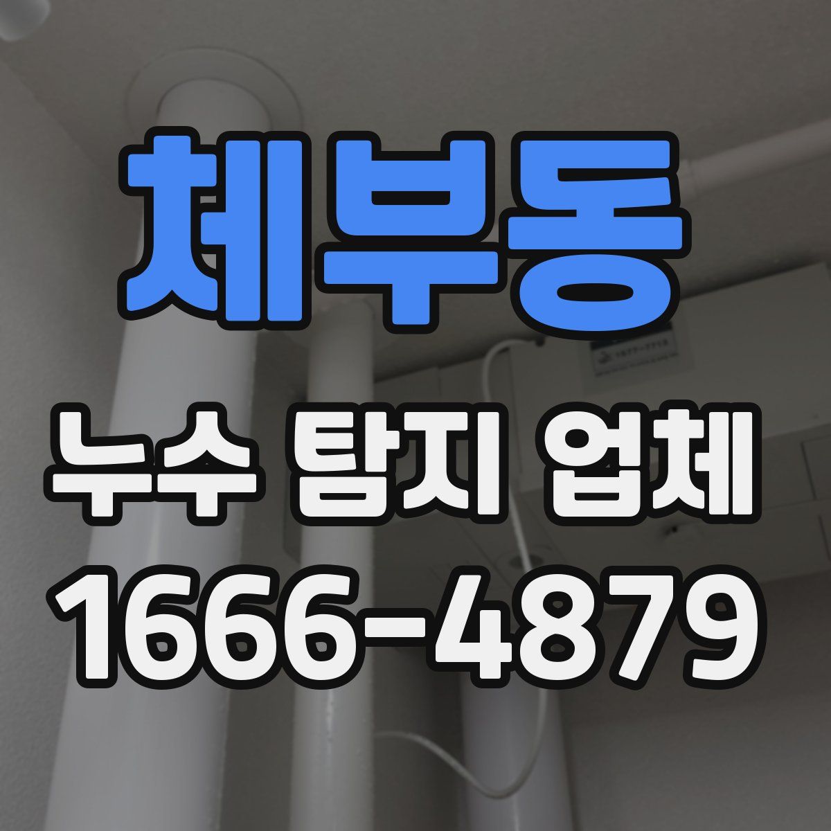 체부동 누수 탐지 업체
