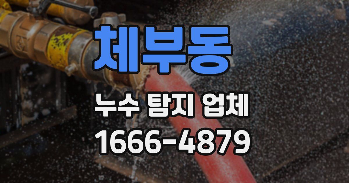 체부동 누수 탐지 업체