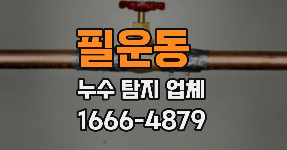 필운동 누수 탐지 업체