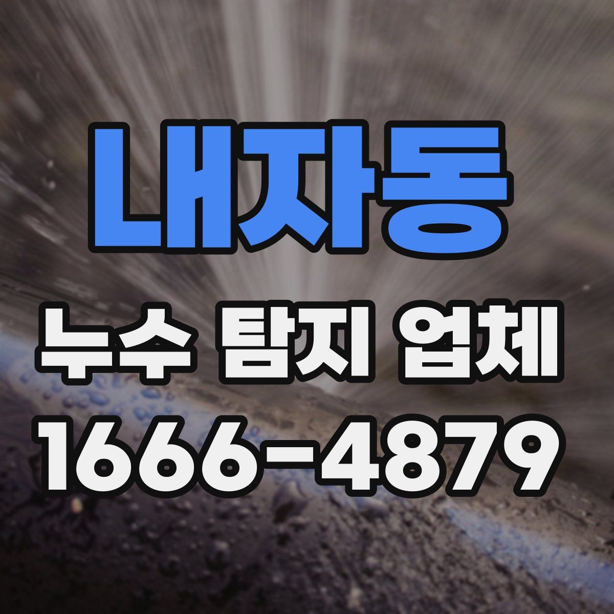 내자동 누수 탐지 업체