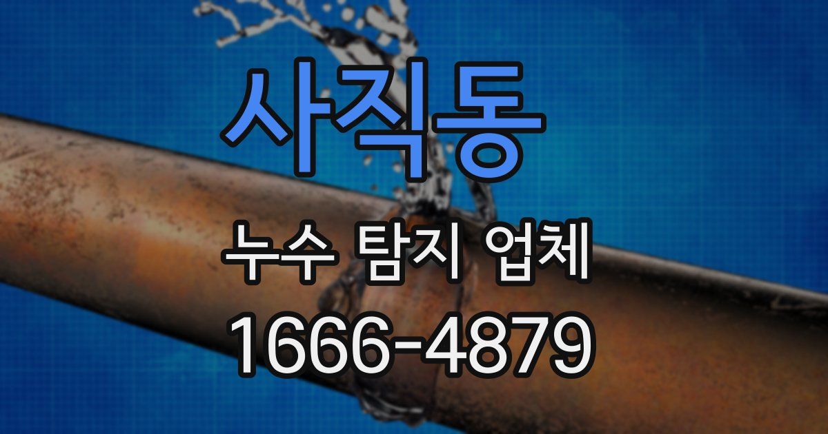 사직동 누수 탐지 업체