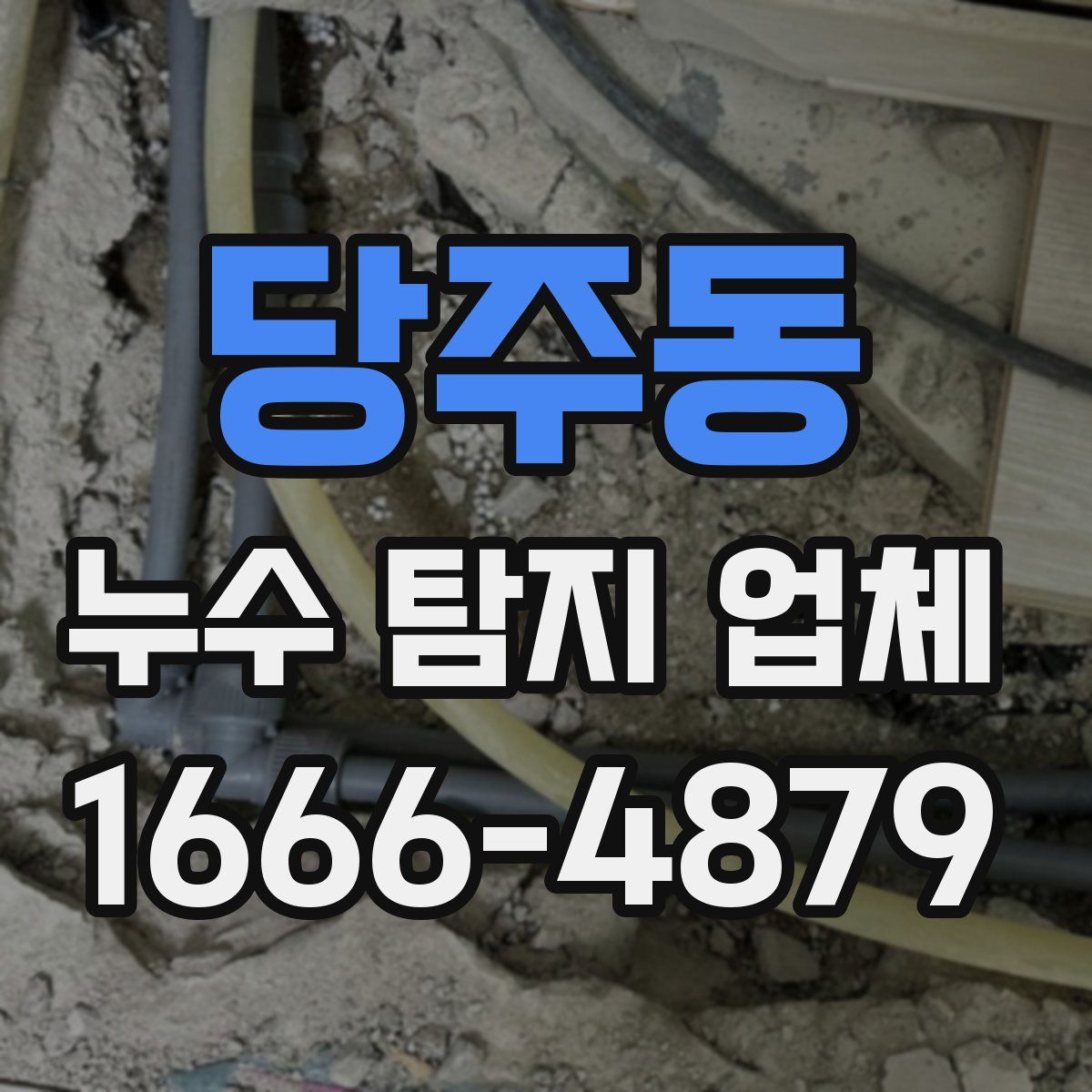 당주동 누수 탐지 업체