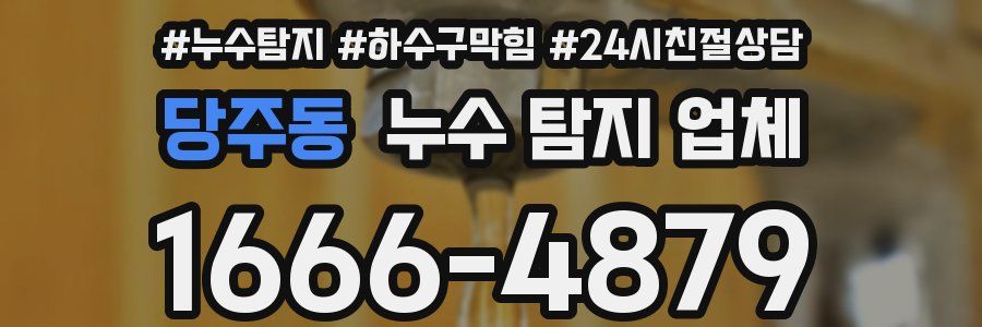당주동 누수 탐지 업체