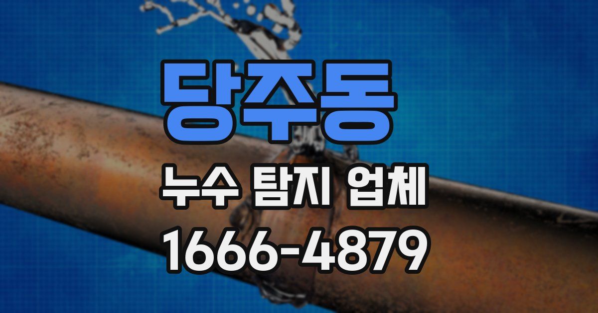 당주동 누수 탐지 업체