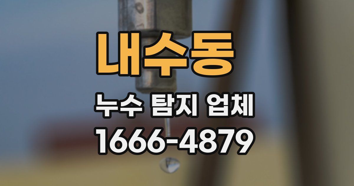 내수동 누수 탐지 업체