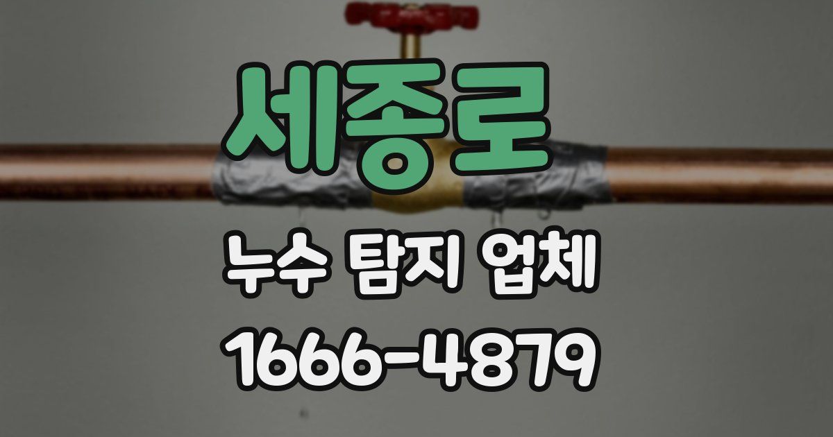 세종로 누수 탐지 업체