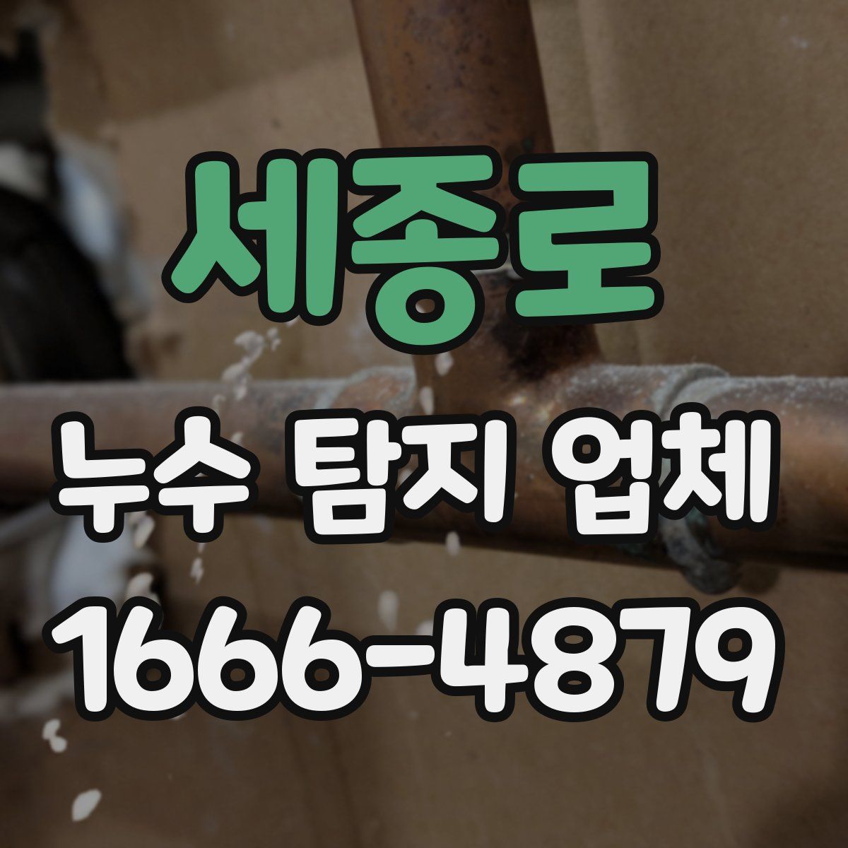 세종로 누수 탐지 업체