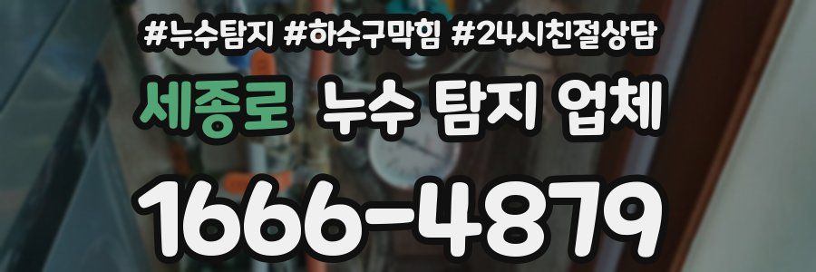 세종로 누수 탐지 업체