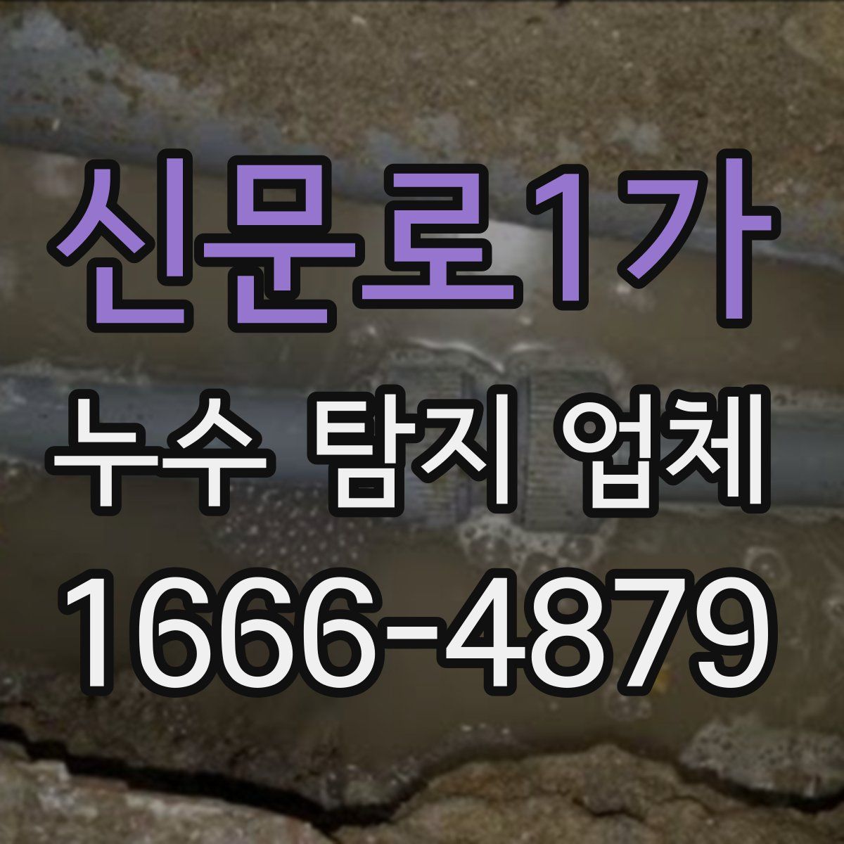 신문로1가 누수 탐지 업체