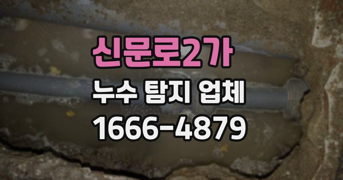 신문로2가 누수 탐지 업체