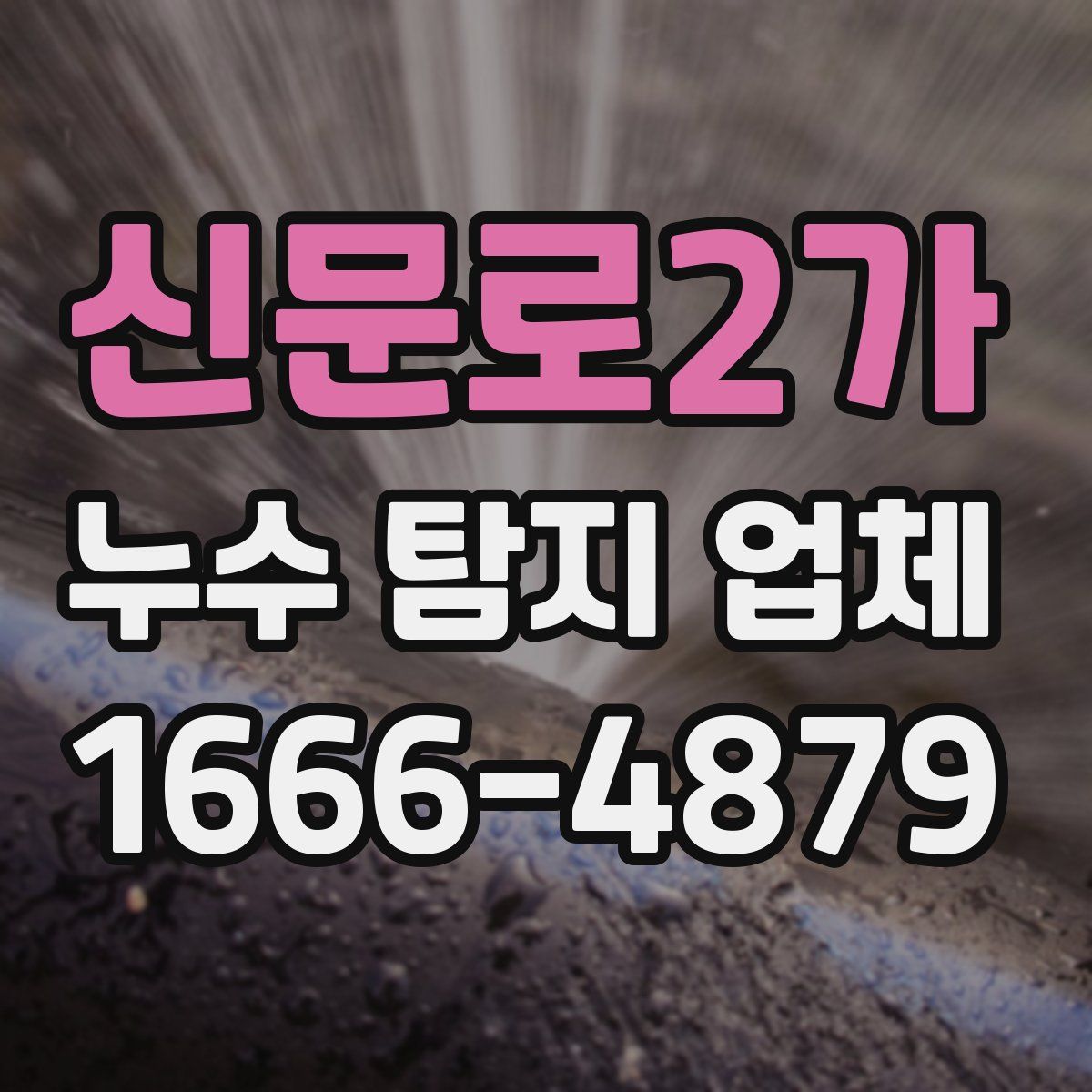 신문로2가 누수 탐지 업체