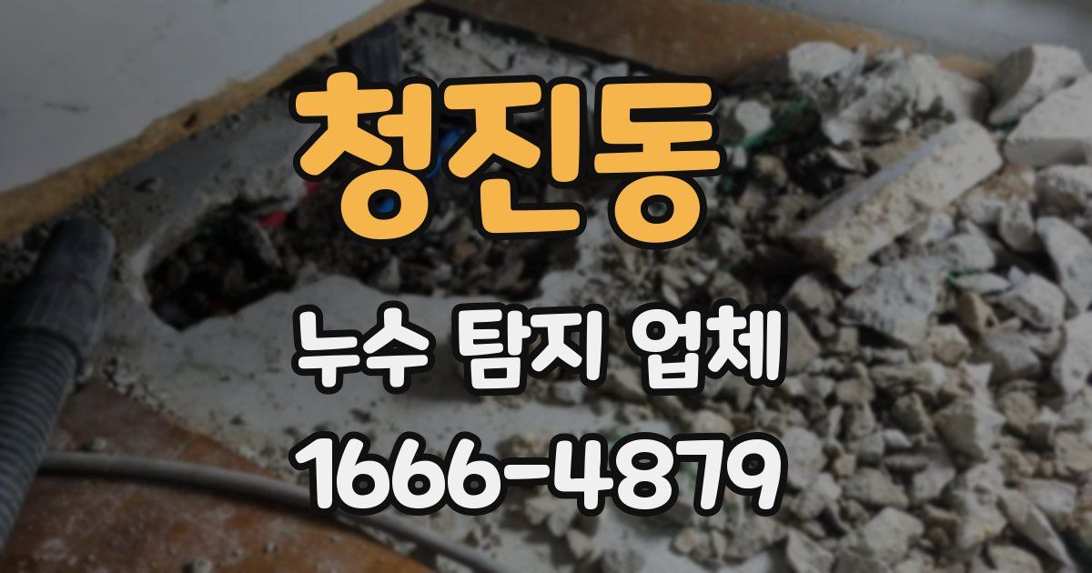 청진동 누수 탐지 업체