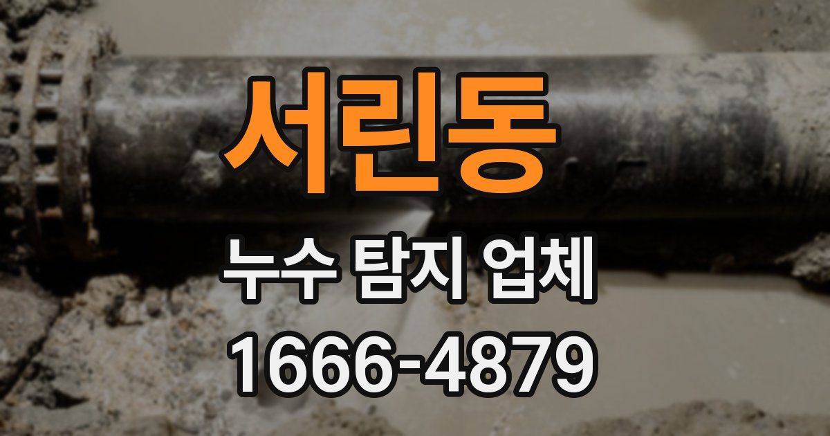 서린동 누수 탐지 업체