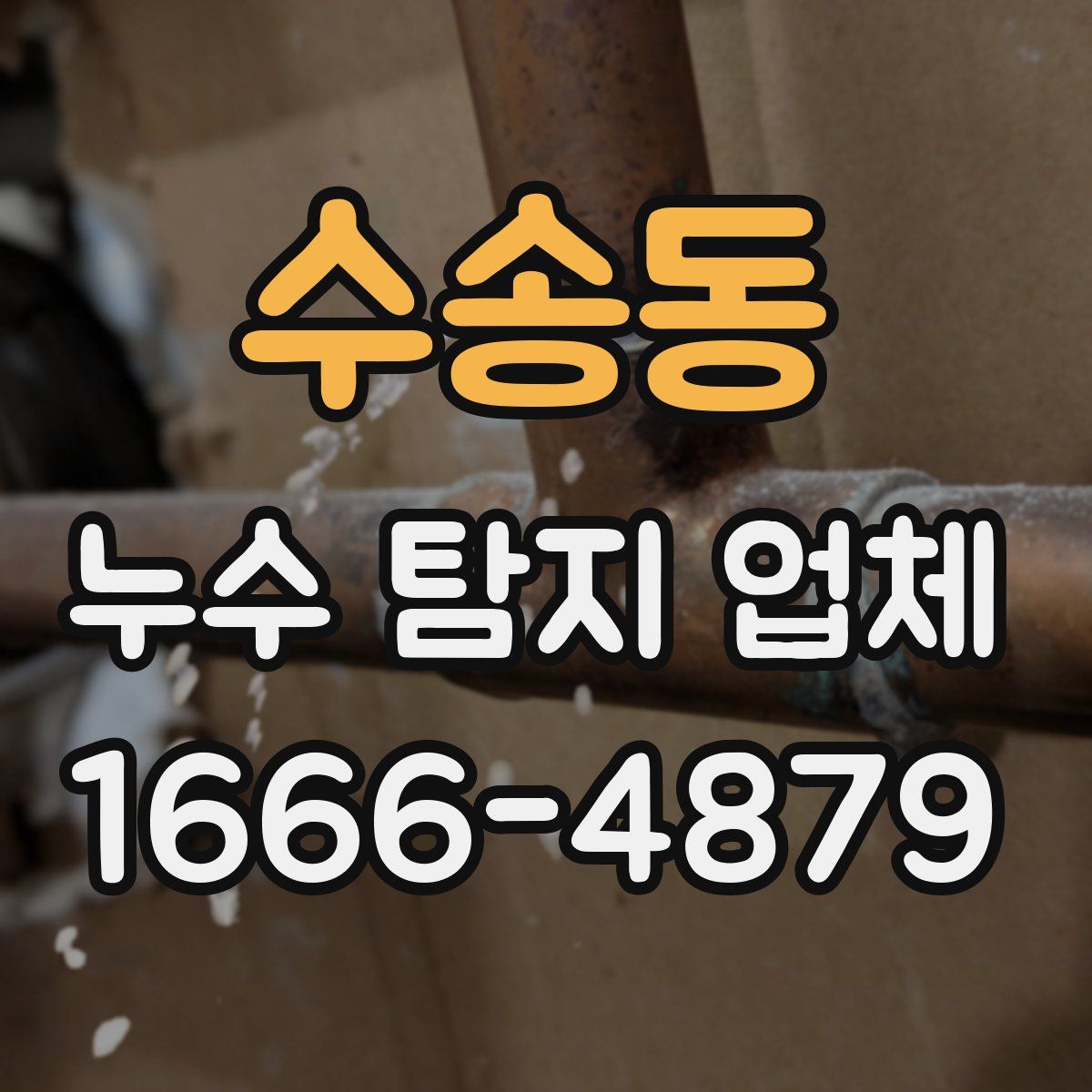 수송동 누수 탐지 업체