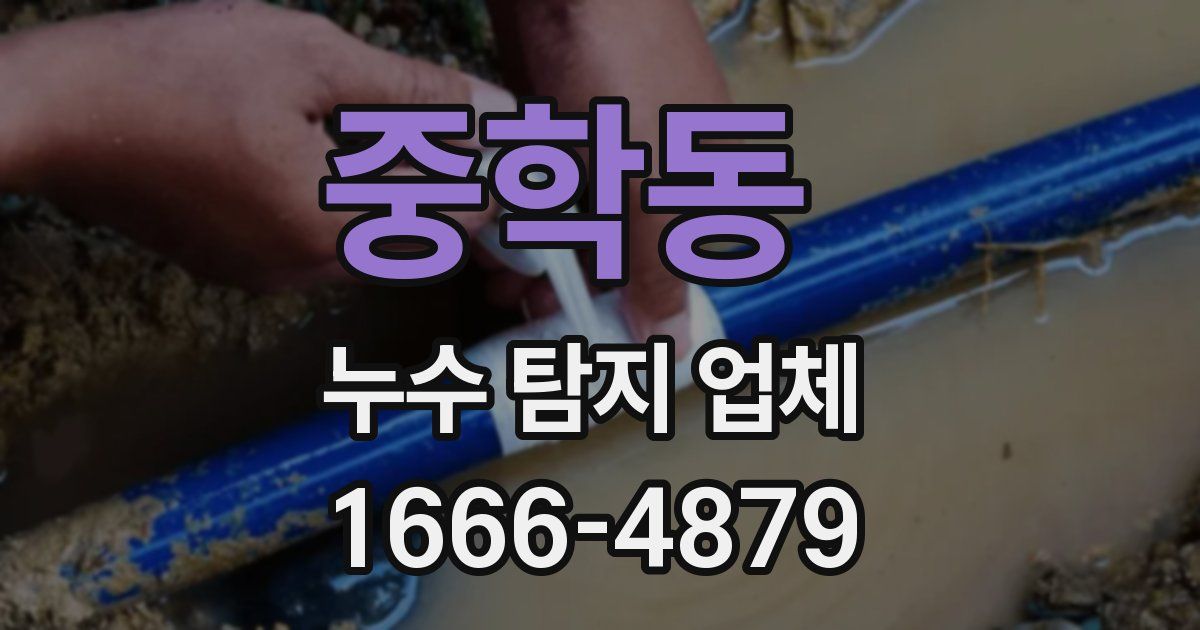 중학동 누수 탐지 업체